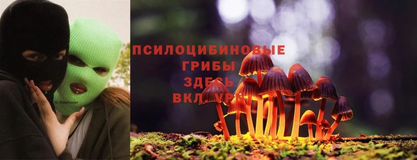 альфа пвп Белокуриха