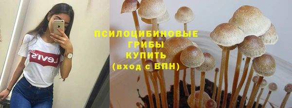 альфа пвп Белокуриха