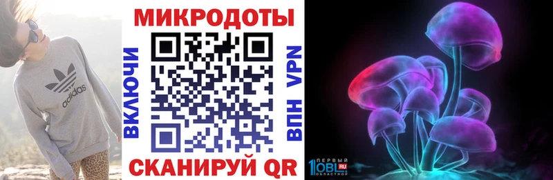 Купить закладки  Железноводск  Псилоцибиновые грибы Psilocybe 