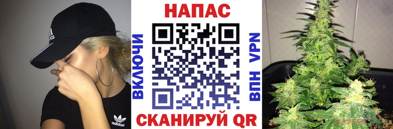 Шишки марихуана SATIVA & INDICA  Купить закладки  Железноводск 